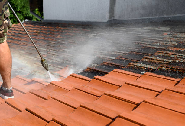 Best Affordable Power Washing  in Beach, ND